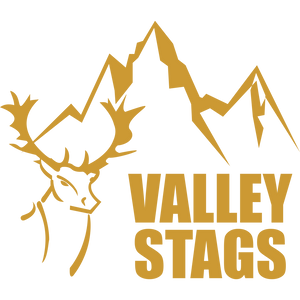 VALLEY STAGS Logo