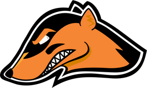NAFC Logo