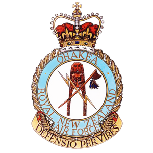 OHAKEA VOLLEYBALL Logo