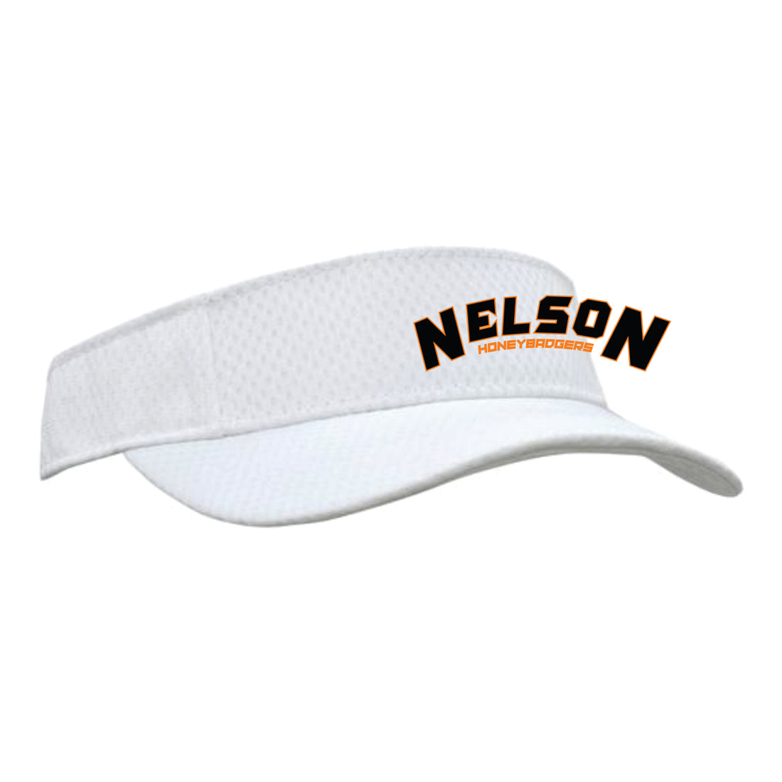 NAFC VISOR